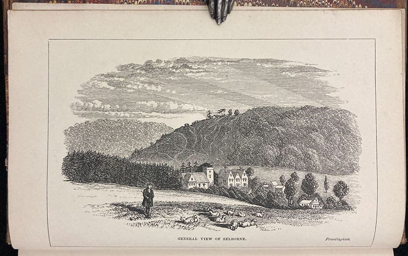 A view of Selborne, wood-engraved frontispiece, The Natural History and Antiquities of Selborne, by Gilbert White, edited by William Jardine, 1853 (Linda Hall Library)