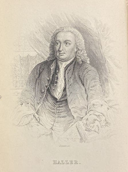 Portrait of Albrecht von Haller, engraved frontispiece by William Lizars, The Natural Arrangement and Relations of the Family of Flycatchers, by William Swainson, vol. 1, 1838 (The Linda Hall)