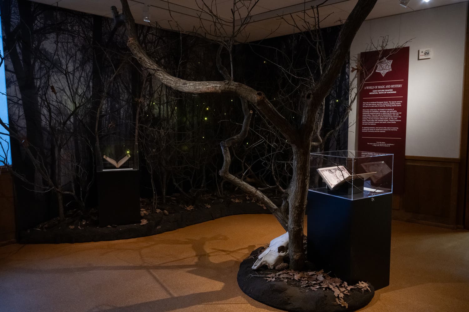 Alchemy of Knowledge Forest