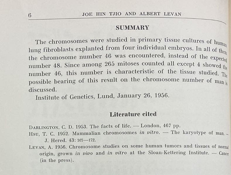 Concluding paragraph, “The chromosome number of man,” by J.H. Tjio and A. Levan, Hereditas, vol, 42, p. 6, 1956 (The Linda Hall)