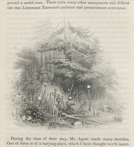 “Indian burial site, southern Oregon chapter,” text wood engraving after a drawing by Alfred Agate, in Charles Wilkes, Narrative of the United States Exploring Expedition, 1845 (Linda Hall Library)