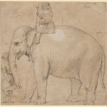 Drawing of Hanno the elephant in Rome, ink on brown paper, Raphael or his workshop, 1515, Kupferstichkabinett, State Museum of Berlin (Wikimedia commons)