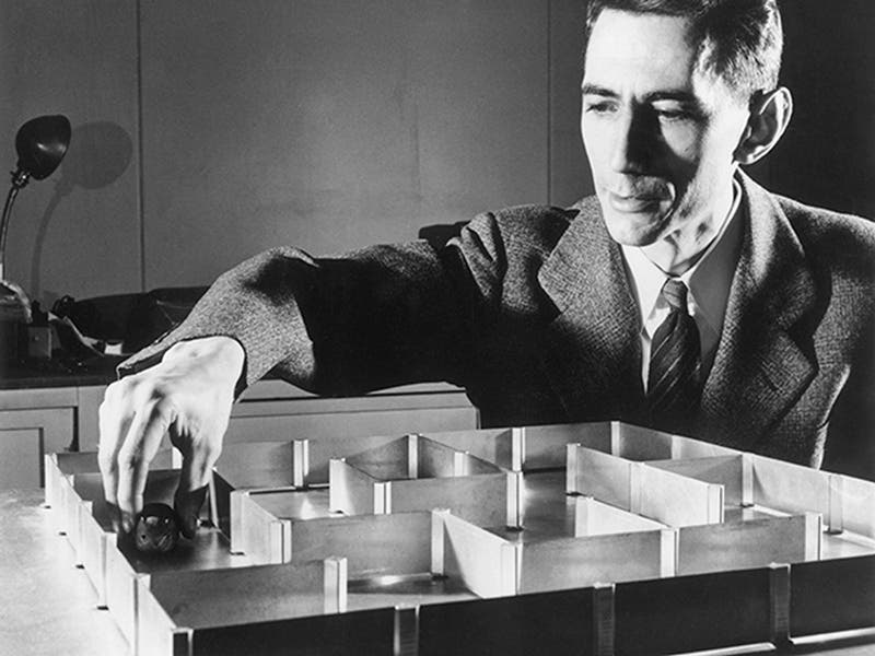 Claude Shannon inserting Theseus into its maze, photograph, ca 1950 (spectrum.ieee.org)