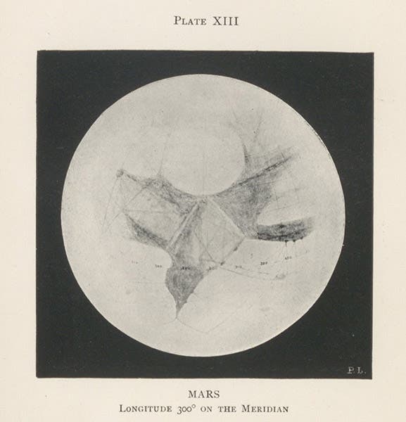 Mars at 300° longitude, showing the Syrtis Major feature, drawing by Percival Lowell, in Mars, by Percival Lowell, plate 13, 1895 (Linda Hall Library)