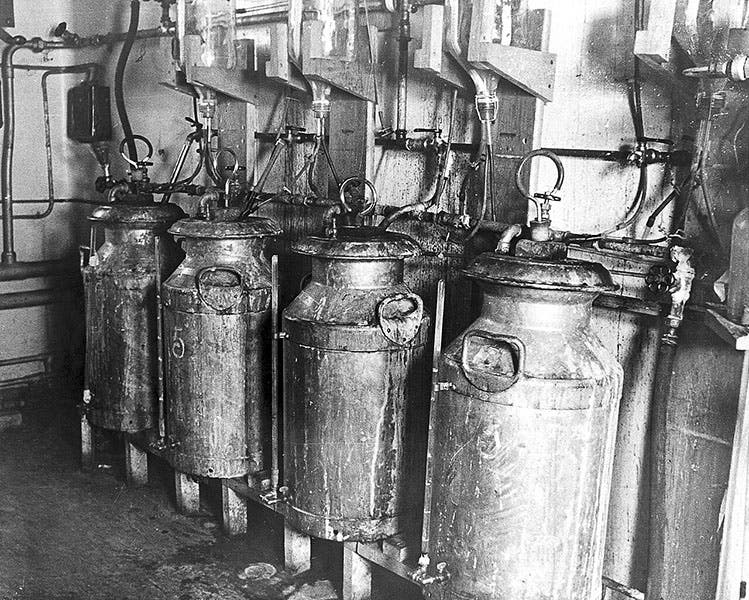Tanks used to prepare penicillin in early attempts at mass production, Oxford, undated photograph, Wellcome Collection (Wikimedia commons)