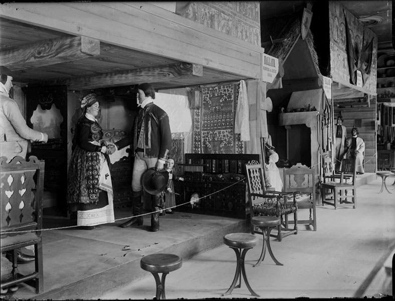 Interior displays at the Scandinavian-Ethnographic Collection, predecessor of the Nordic Museum, Stockholm, 1873 (nordiskamuseet.se)