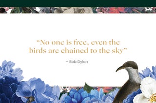 "No one is free, even the birds are chained to the sky" - Bob Dylan 