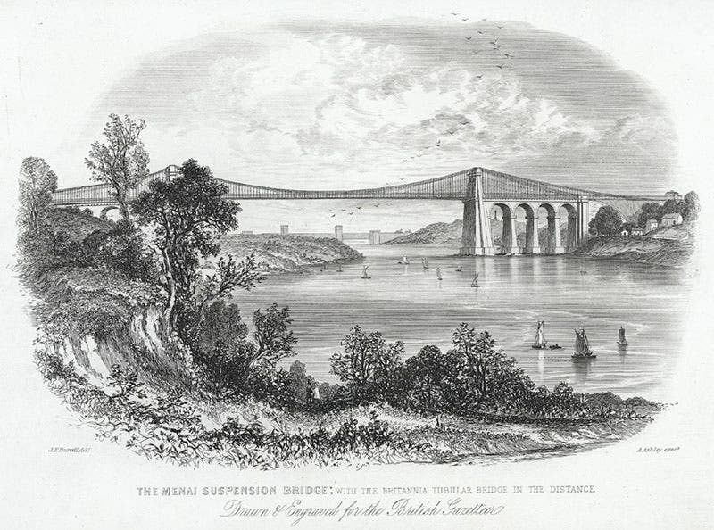 View of the Menai Suspension Bridge, foreground, and the Britannia Bridge in the distance, engraving by Alfred Ashley after drawing by Joseph Burell, 1850, National Library of Wales (Wikimedia commons)