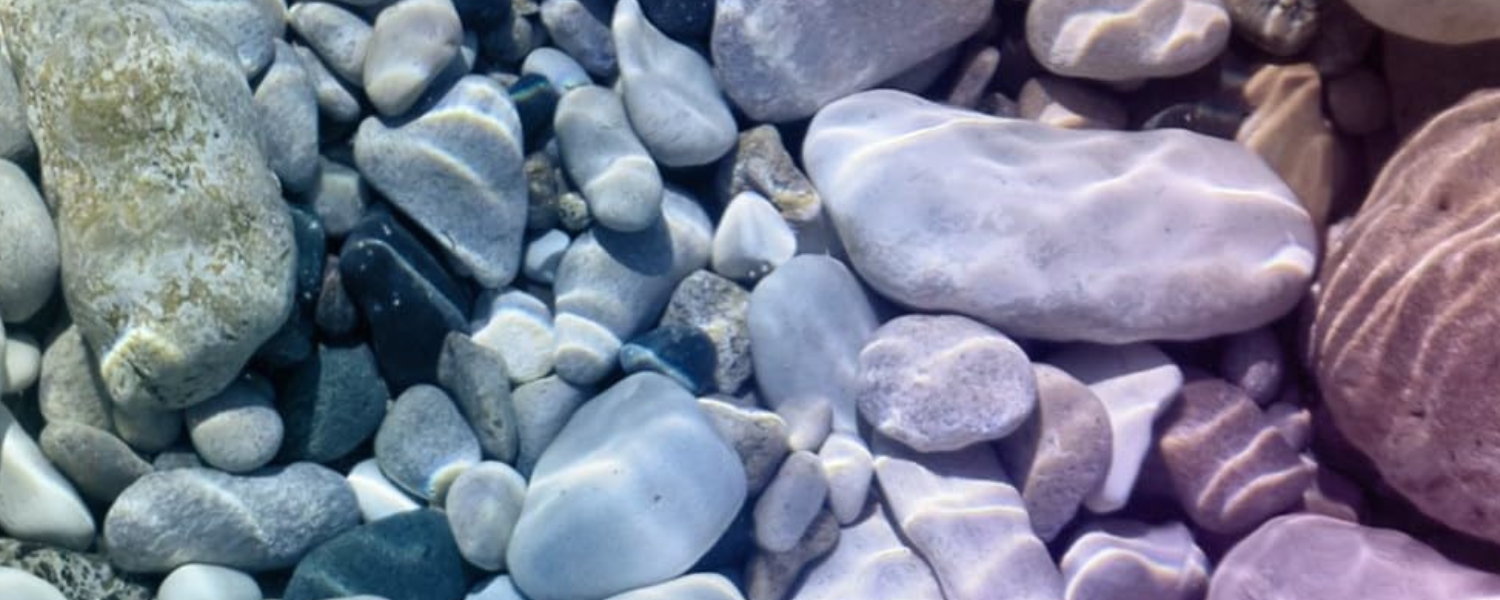 Underflows: Queer Trans Ecologies and River Justice by Cleo Wölfle Hazard