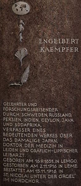 Wall plaque honoring Engelbert Kaempfer, Nicolaikirche, Lemgo, Lippe, Westphalia (findagrave.com)
