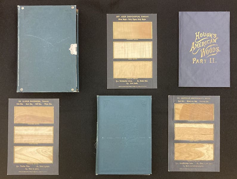 Volume 2 of The American Woods, Exhibited by Actual Specimens and with Copious Explanatory Text, by Romeyn Beck Hough, showing outer case and inner slipcase, text volume, and three of the cards with wood slices (The Linda Hall)