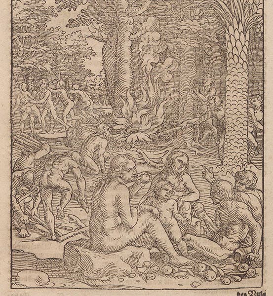 Discovering fire, illustrating a story in Vitruvius, woodcut, Bawkunst, oder, Architectur, by Walther Hermann Ryff, 3rd ed., p. 130, 1582 (The Linda Hall)