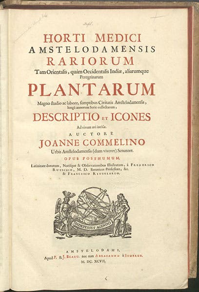 Title page, Horti medici amstelodamensis, by Jan Commelin, vol. 1, 1697 (Linda Hall Library)