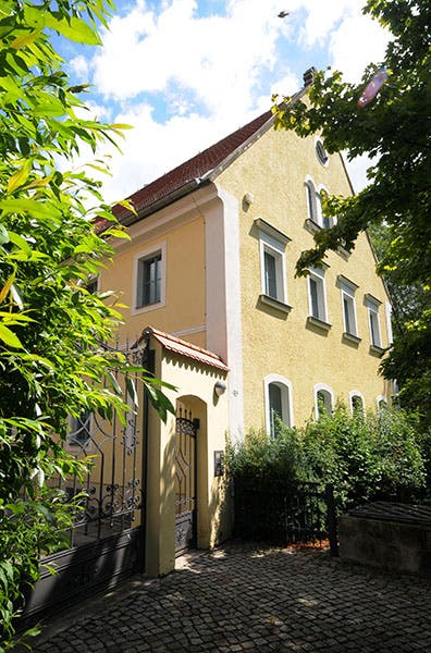 The outside of the Palitzsch Museum in Dresden, recent photograph (palitzsch-museum.de)