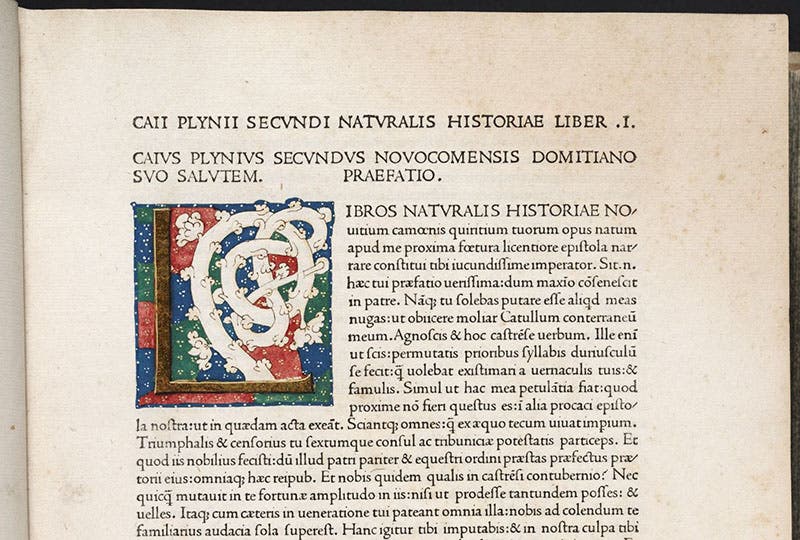 First page, detail, with illuminated initial “L” to begin book 1, Naturalis historia, by Pliny the Elder, Venice, Nicolas Jenson 1472 (Linda Hall Library)