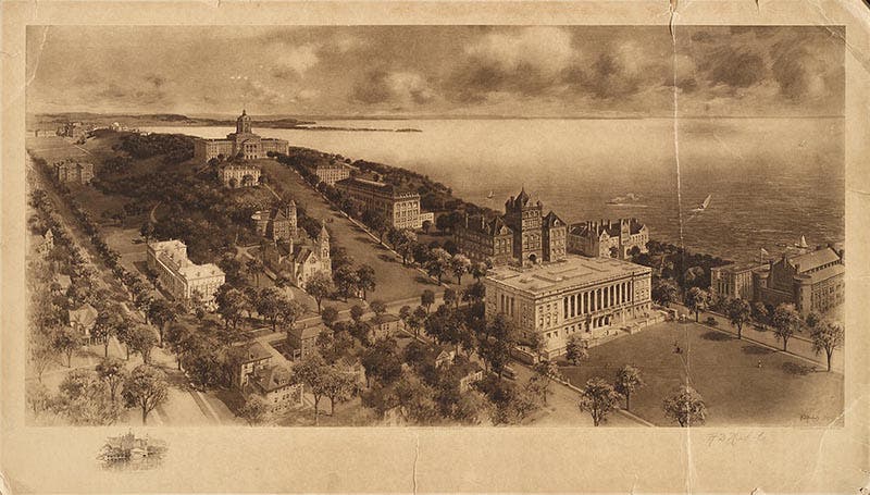 Bascom Hill on the UW-Madison campus; Bascom Hall is at the top of the hill; Science Hall, home of the Geology Department, is at bottom right of the Hill, just behind the neoclassical building (now the Wisconsin State Historical Society), photograph, 1907 (news.wisc.edu)