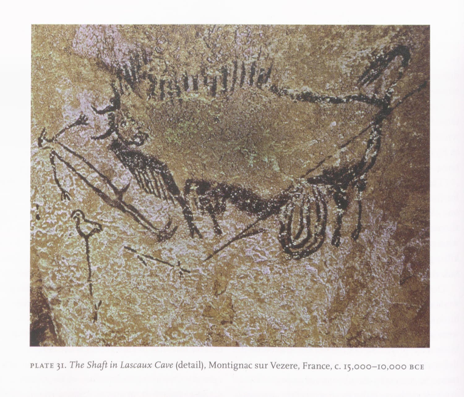 From Lascaux Caves in France, this image of the "Bird Man" is the earliest known depiction of a bird. Darryl Wheye and Donald Kennedy. Humans, Nature, and Birds: Science Art from Cave Walls to Computer Screens, New Haven, 2008.