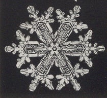 An elaborate snow crystal, photomicrograph, detail of plate 147, Snow Crystals, by Wilson A. Bentley and William J. Humphreys, 1931 (Linda Hall Library)