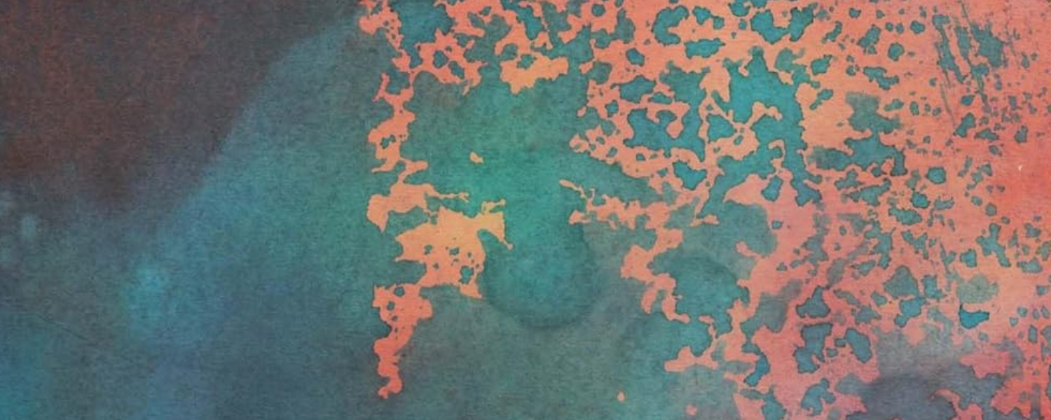 Social Mobilisation for Climate Change