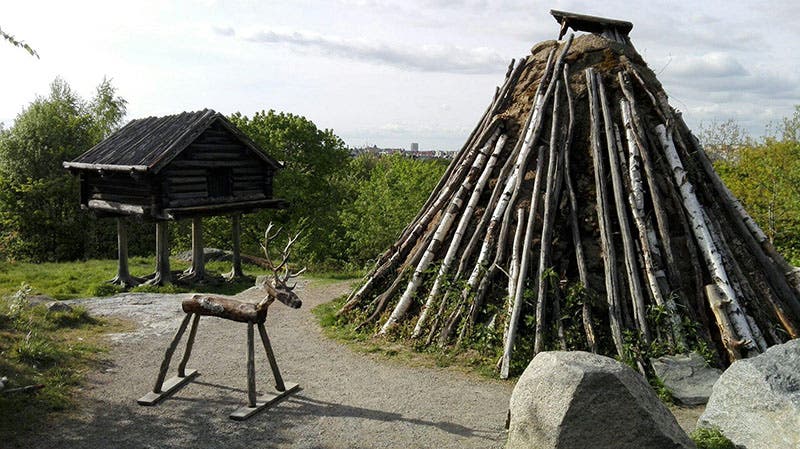 Sámi dwelling and storage shelter, outdoor display, Skansen, Stockholm (tripadvisor.com)