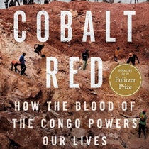 Cobalt Red: How the Blood of the Congo Powers Our Lives by Siddharth Kara