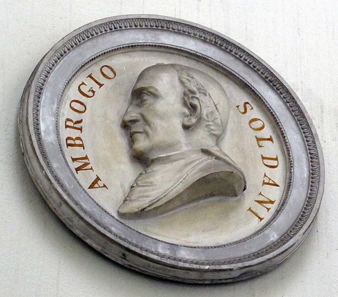 Portrait medallion of Ambrogio Soldani, Museo di Storia Naturale, Florence (Wikimedia commons)
