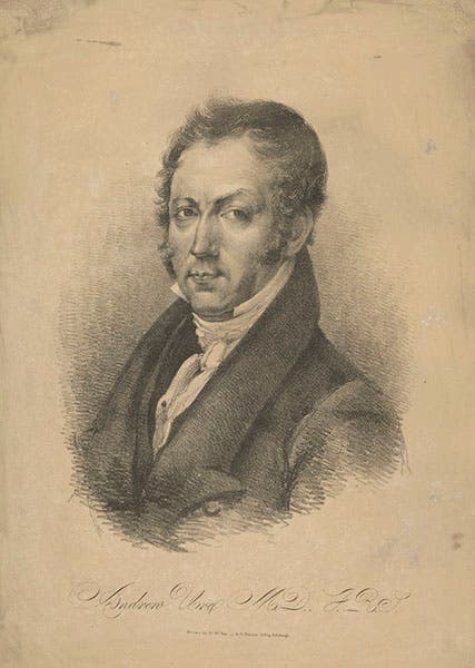 Portrait of a young Andrew Ure, by R.H Nimmo, undated lithograph, Scottish National Galleries (nationalgalleries.org)