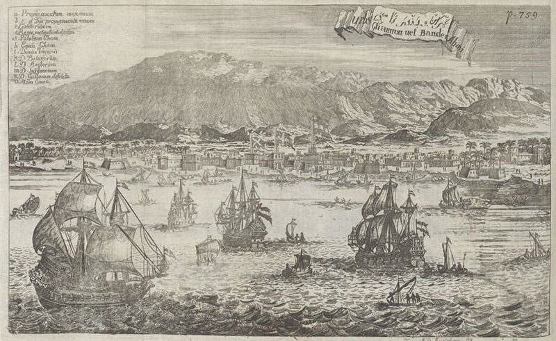 Bandar Abbas, port city, Strait of Hormuz, Persian Gulf, folding etching in Amoenitatem exoticarum, by Engelbert Kaempfer, p. 759, 1712 (The Linda Hall)