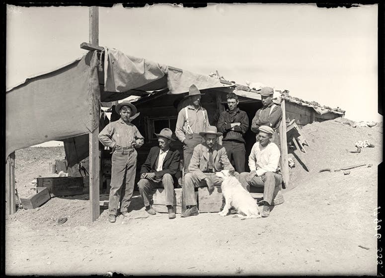 Six AMNH dinosaur bone hunters at Bone Cabin quarry, Wyoming, 1899, including William D. Matthew (seated, far right) and his boss, Henry F. Osborn (seated, center), AMNH neg. no. 17906 (digitalcollections.amnh.org)