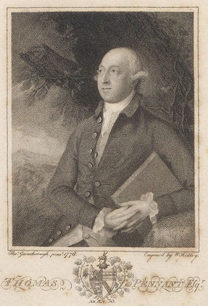 Portrait of Thomas Pennant, engraved frontispiece by W. Ridley, 1793, after a painting by Thomas Gainsborough, 1776, in The Literary Life of the late Thomas Pennant, by Thomas Pennant, 1793 (Linda Hall Library)