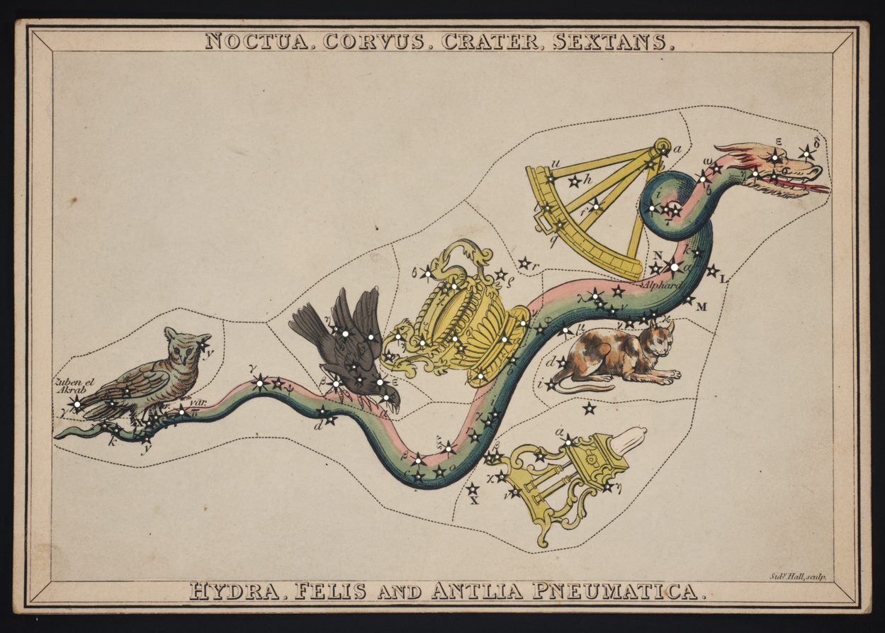 Scan of Hydra, Felis and Antlia Pneumatica constellations from Urania's Mirror by Jehoshaphat Aspin
