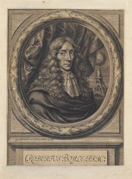 Portrait of Robert Boyle, engraving by William Faithorne, 1664, National Portrait Gallery, London (npg.org.uk)