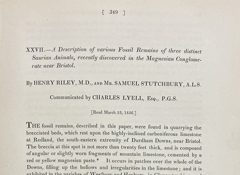 First paragraph, “A description of various fossil remains of three distinct saurian animals, recently discovered in the Magnesian Conglomerate near Bristol," by Henry Riley and Samuel Stutchbury, Transactions of the Geological Society of London, p. 349, ser. 2, vol. 5, 1840 (Linda Hall Library)