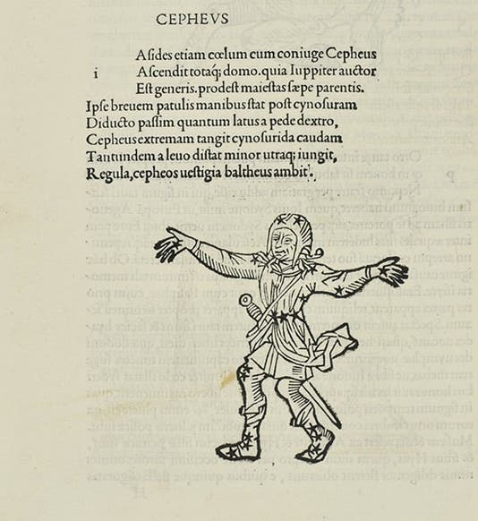 The constellation Cepheus, woodcut in Matheseos Liber, by Firmicus Maternus et al., including Aratus of Soli, 1499 (The Linda Hall)