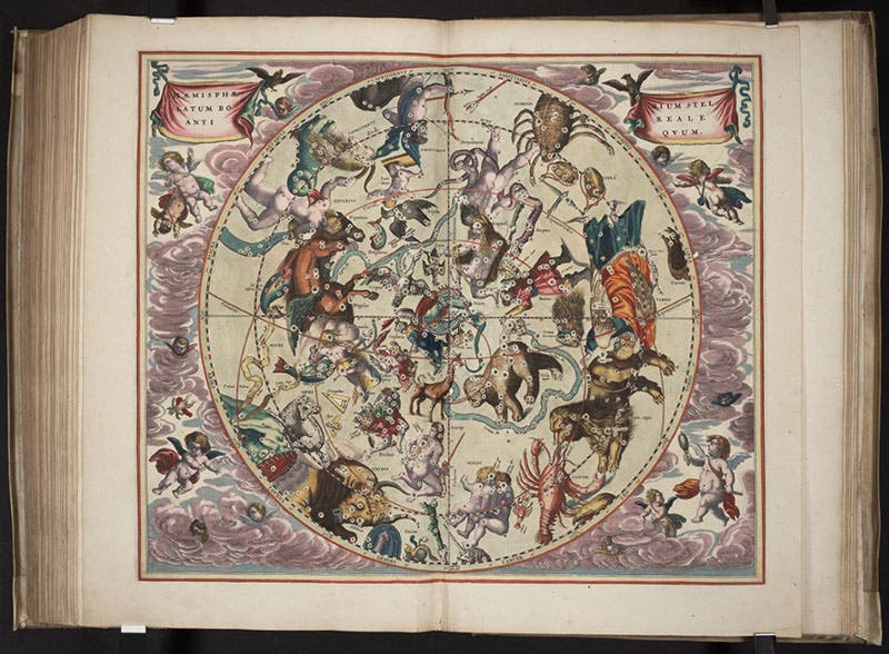 The northern classical constellations, hand-colored engraving, Andreas Cellarius, Harmonia macrocosmica, 1661 (Linda Hall Library)