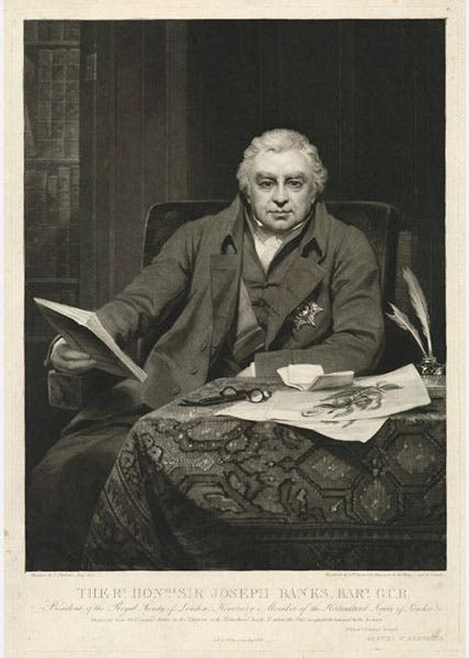 Joseph Banks, mezzotint, by Samuel William Reynolds,and Samuel Cousins, after Thomas Phillips, 1822, National Portrait Gallery, London (npg.org.uk)