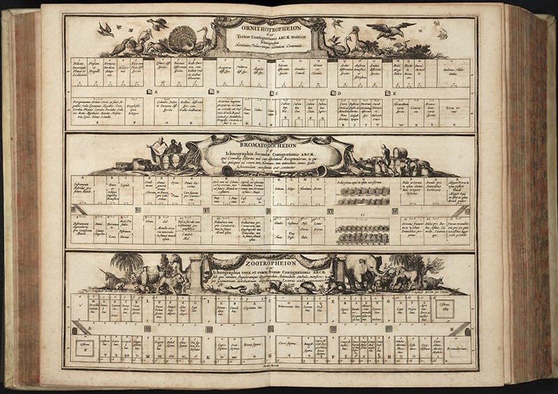 “Ichnographia” or plan for all the animal and bird compartments on the three levels of the Ark, engraving in Arca Noë, by Athanasius Kircher, foll. p. 108, 1675, copy 2 (Linda Hall Library)