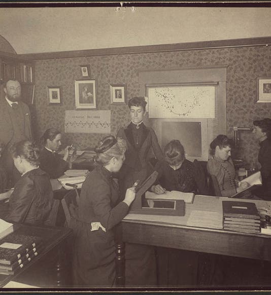 The women computers of Harvard College Observatory, photo, 1891; see detail below (Harvard University Archives, courtesy of Tom Fine)