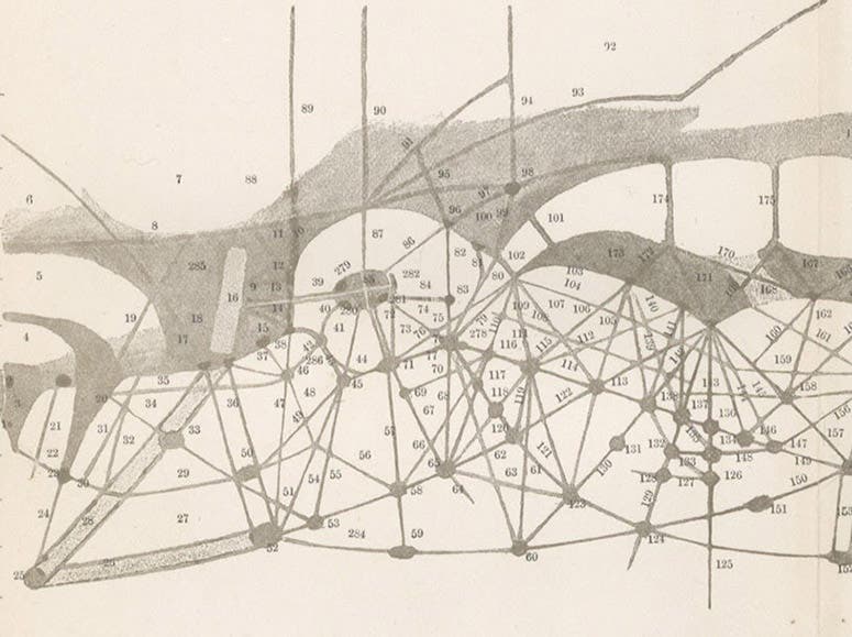 Detail of the sixth image, showing the region around Solis Lacus on the folding map of Mars, drawn by Percival Lowell, in Mars, plate 24, 1895 (Linda Hall Library)