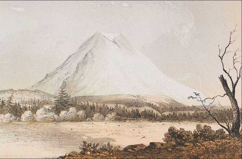 “Mount Rainier viewed from near Steilacoom,” detail of tinted lithograph by John Mix Stanley, Pacific Railroad Reports, vol. 12, 1855 (The Linda Hall)