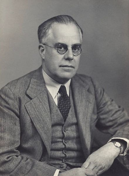 Portrait of Wilfrid Le Gros Clark, photograph by Walter Stoneman, 1949, National Portrait Gallery, London (npg.org.uk)