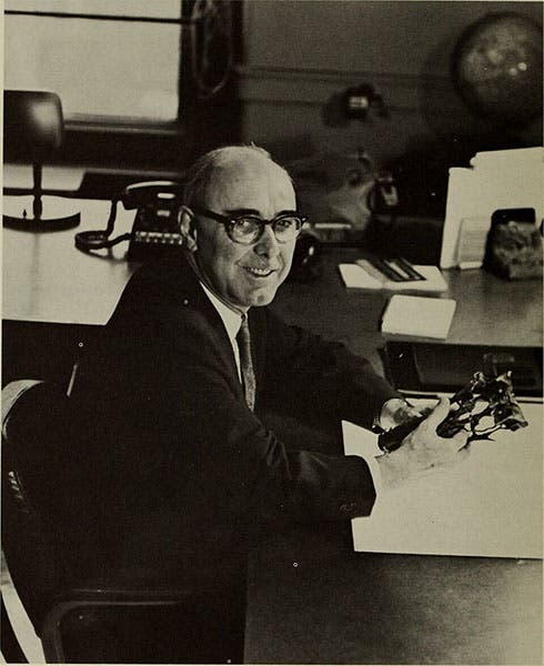 Portrait of Edwin Colbert, photograph, 1960s, American Museum of Natural History archives (Wikimedia commons)
