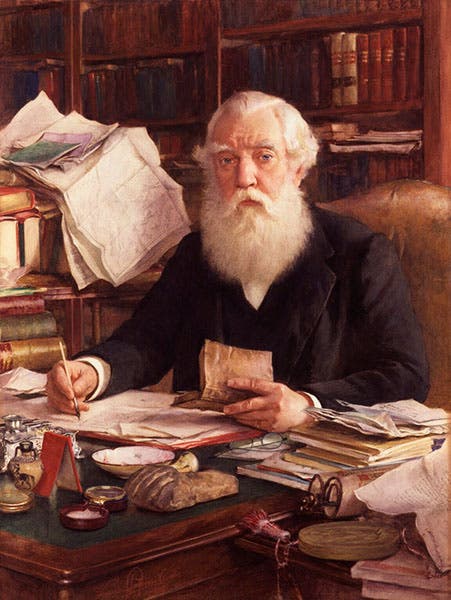 Portrait of Austen Henry Layard, watercolor, by Ludwig Johann Passini, 1891, National Portrait Gallery, London (npg.org.uk)