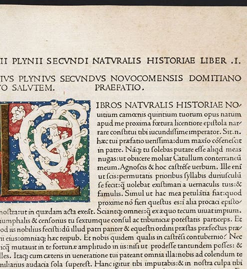 First page, detail, with illuminated initial “L” to begin book 1, Naturalis historia, by Pliny the Elder, Venice, Nicolas Jenson 1472 (Linda Hall Library)