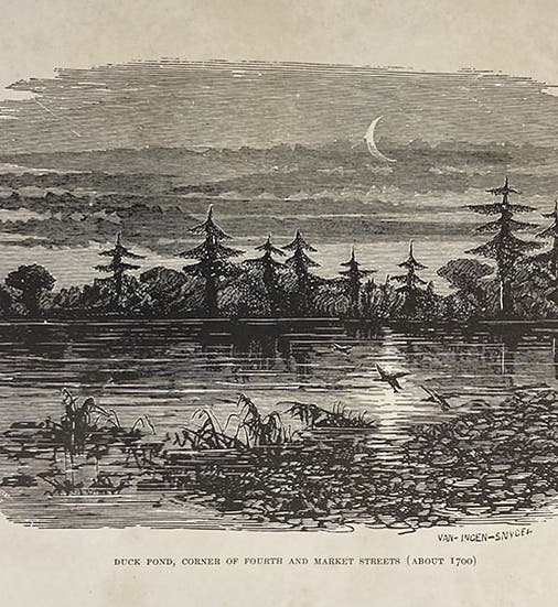 A duck pond in Philadelphia, where diatoms proliferated, as drawn in 1700, frontispiece, The Diatomaceæ of Philadelphia and Vicinity, by Charles S. Boyer, 1916, early acquisition of Ruth Patrick, with her hand-written home address on flyleaf (The Linda Hall)