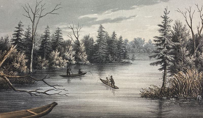 “Sunk lands looking north from the deep landing,” hand-colored engraving after drawing by David Dale Owen, in his Second Report of a