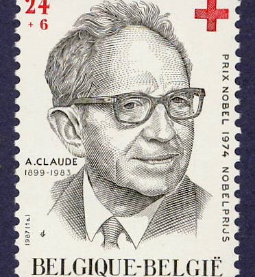 Postage stamp honoring Albert Claude, issued by Belgium, 1987 (jgiesen.de)
