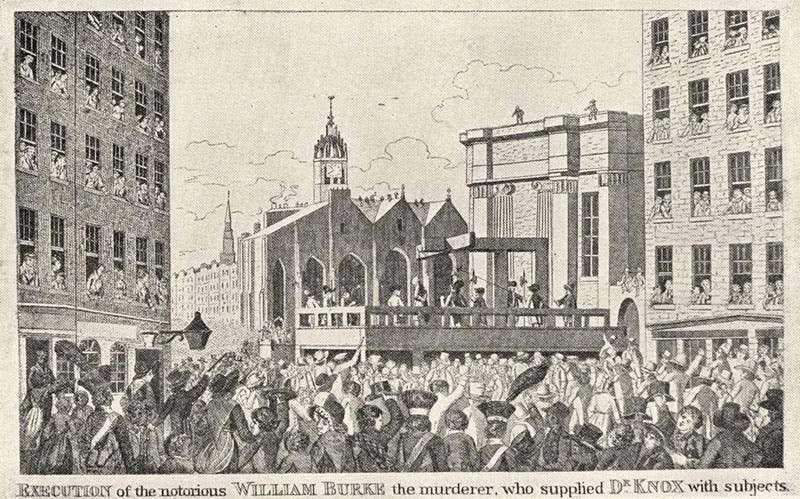 Execution of William Burke, Jan. 28, 1829, wood engraving (Wikimedia commons)