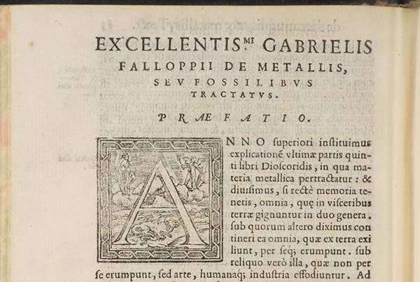 Beginning of second treatise, “On Metals and Fossils,” De medicatis aquis, atque de fossilibus, by Gabriele Falloppio, p. 85 verso, 1569 (The Linda Hall)