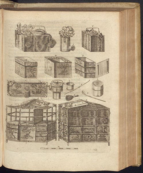 Paraphernalia and utensils for a tea ceremony, etching, Amoenitatem exoticarum, by Engelbert Kaempfer, p. 629, 1712 (The Linda Hall)